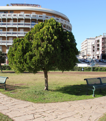 Piazza S. Giovanni – Siracusa